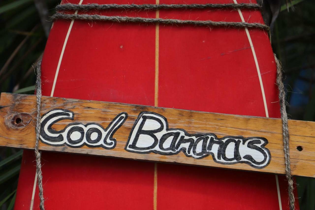 Cool Bananas Backpackers Hostel Agnes Water Kültér fotó