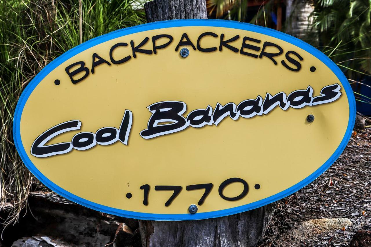Cool Bananas Backpackers Hostel Agnes Water Kültér fotó
